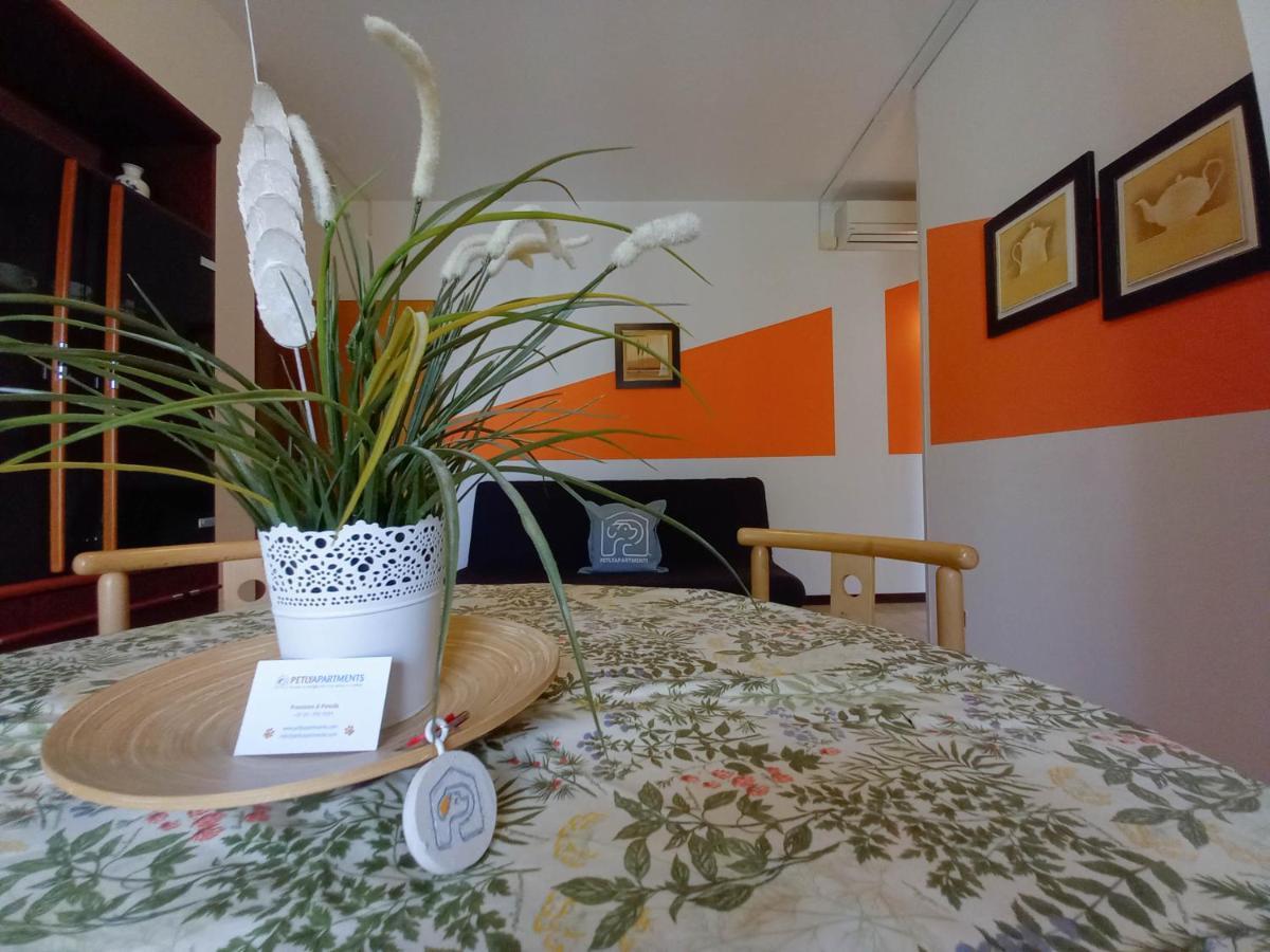 Petlyapartments Bellaria-Igea Marina Bagian luar foto